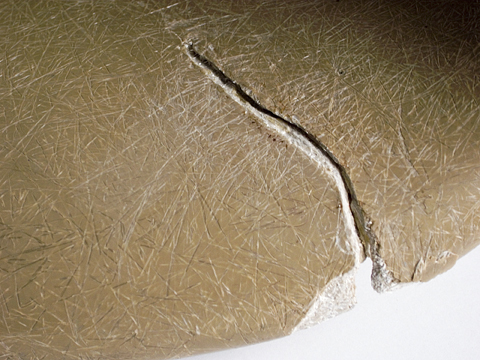 サンディング・脱脂されたシェル（表側）