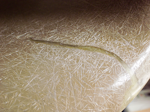 修理されたシェルの様子（表側）