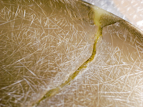 修理されたシェルの様子（裏側）