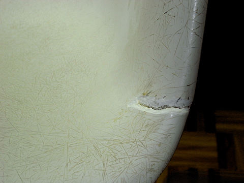 サンディング・脱脂されたシェル（表側）