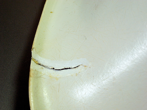 サンディング・脱脂されたシェル（裏側）